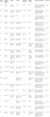 Implication of non-coding RNA-mediated ROCK1 regulation in various diseases